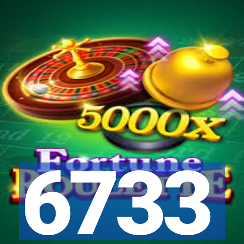 6733
