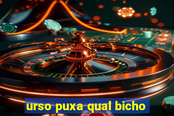 urso puxa qual bicho
