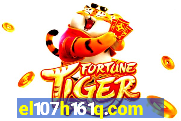 el107h161q.com