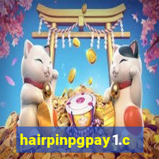 hairpinpgpay1.com