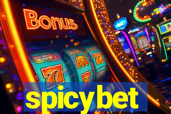 spicybet-2.com