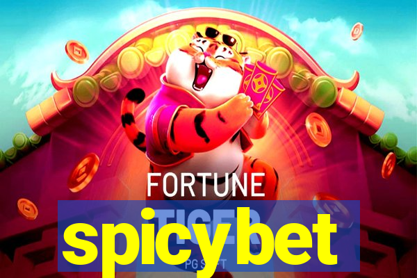 spicybet-2.com