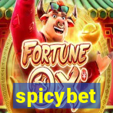 spicybet-3.com