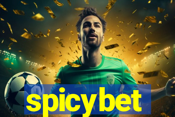 spicybet-3.com
