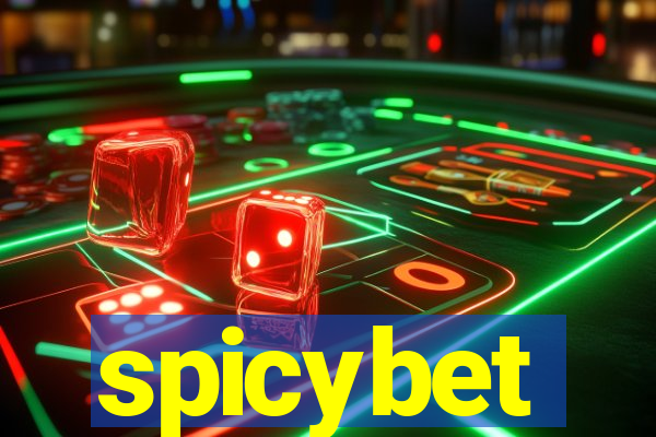 spicybet-4.com